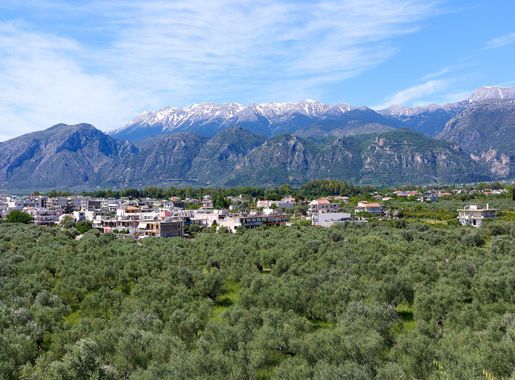 File:Modern Sparta and Mt. Taygetos.jpg - Wikimedia Commons