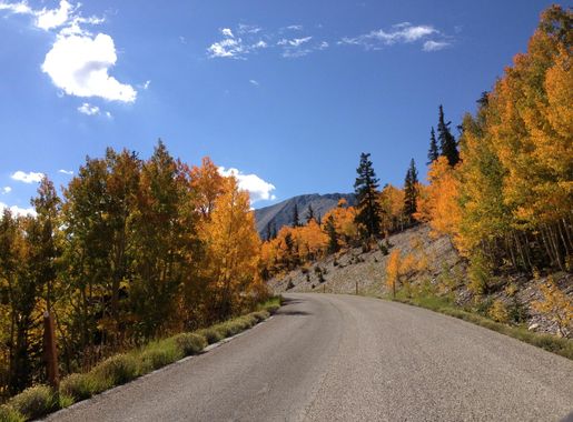 File:2014-09-15 10 32 35 Aspens during autumnal foliage color change along  Wheeler Peak Scenic Drive in Great Basin National Park, Nevada.JPG -  Wikimedia Commons