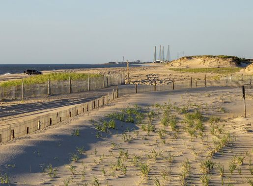 File:Delaware Seashore State Park DE1.jpg - Wikimedia Commons