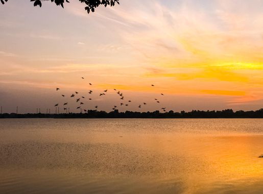 File:Sungei Buloh Wetland Reserve sunset, Singapore - 49630331732.jpg -  Wikimedia Commons
