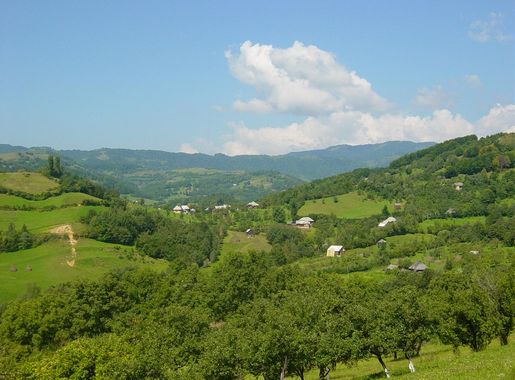 Vișeu de Sus - Wikipedia