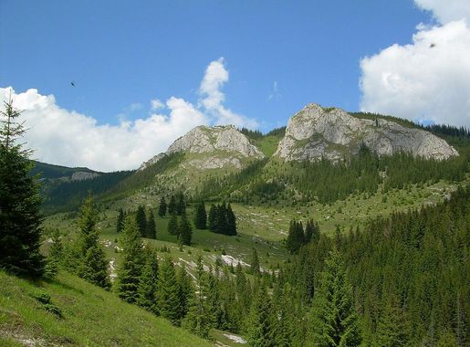 File:Pietrele Albe.jpg - Wikimedia Commons