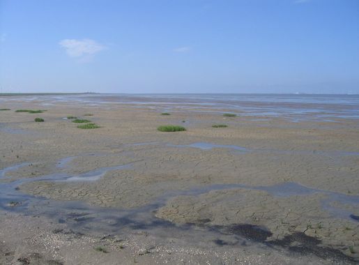 File:Pilsumer Watt from the Leyhörn 2.jpg - Wikipedia