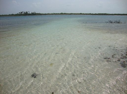 File:Aguas claras da lagoa azul.jpg - Wikimedia Commons
