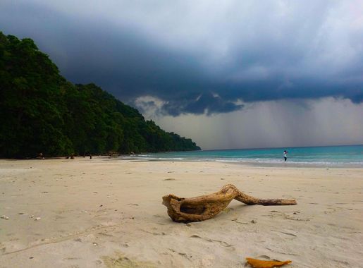 File:RadhaNagar Beach, Havelock Island, Andaman & Nicobar Islands.jpg -  Wikimedia Commons