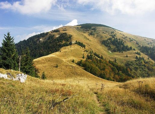 Súbor:Rakytov, Veľká Fatra (SVK) - southern side.jpg – Wikipédia