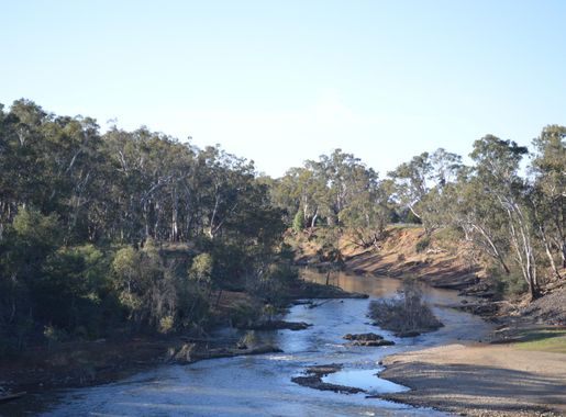 File:Goulburn Weir Goulburn River 001.JPG - Wikimedia Commons