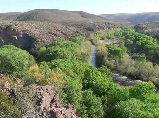 File:Gila Box, Gila River x Bonita Creek 2.JPG - Wikimedia Commons