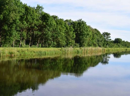 Free picture: riverbank, blue sky, tree, wood, river, reflection, landscape,  nature, water