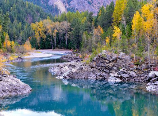 Free Images : landscape, tree, wilderness, mountain, fall, flower, lake,  pond, stream, reflection, scenic, peaceful, autumn, usa, calm, rapid,  season, body of water, trees, rocks, outdoors, montana, glacier national  park, tarn, flathead