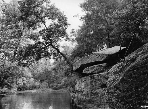 File:Photograph of Scene at Bell Smith Springs Recreation Area - NARA -  2129052.jpg - Wikimedia Commons