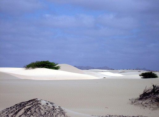 File:Deserto Viana, Boa Vista.jpg - Wikimedia Commons