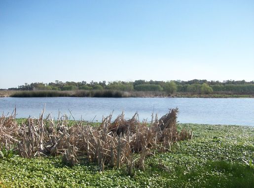 File:Espejo de Agua de la Laguna de Rocha.JPG - Wikimedia Commons