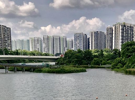 File:Sengkang Floating Wetland from Anchorvale Bridge.jpg - Wikimedia  Commons