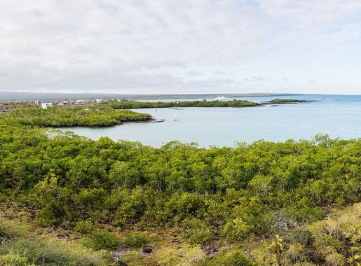 Archivo:Paisaje de isla Santa Cruz, islas Galápagos, Ecuador, 2015-07-26,  DD 76-79 PAN.JPG - Wikipedia, la enciclopedia libre