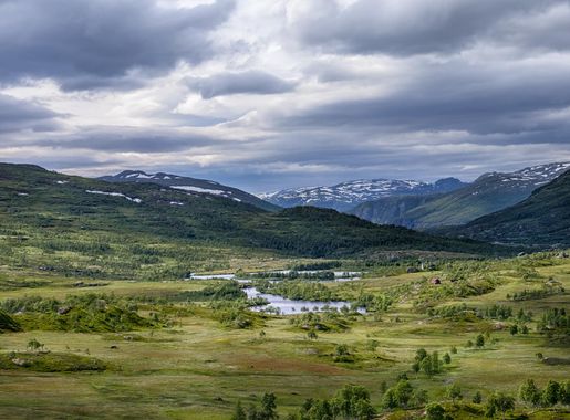 File:Hardangervidda National Park Norway (125348291).jpeg - Wikimedia  Commons