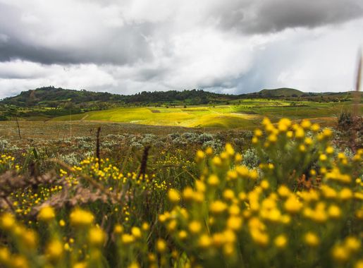 File:Kitulo National Park 22.jpg - Wikimedia Commons