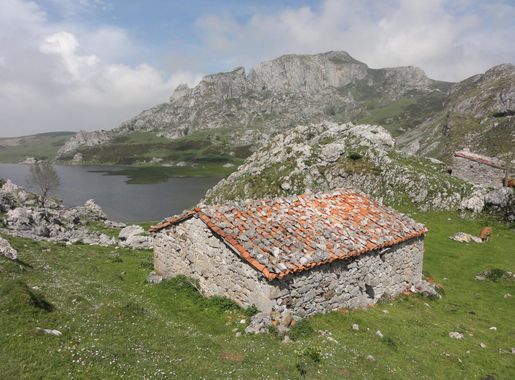 File:Lago Ercina (Lagos de Covadonga, Picos de Europa, Asturias, España)  01.JPG - Wikimedia Commons