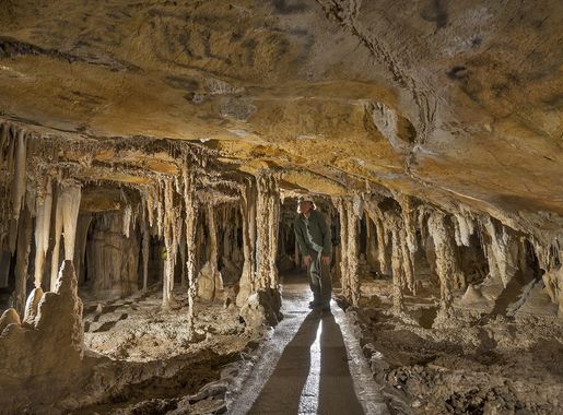 File:Lehman Cave Cypress Swamp.jpg - Wikimedia Commons