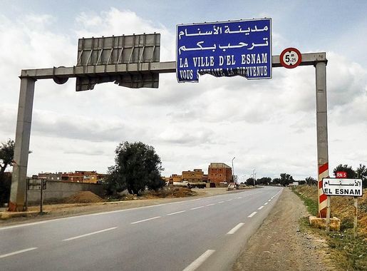 File:El Esnam (El Asnam الاصنام) الاسنام - panoramio (1).jpg - Wikimedia  Commons