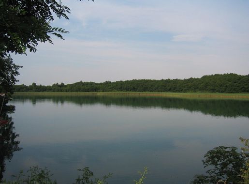 File:Lake de Feldberg Breiter Luzinsee.JPG - Wikipedia