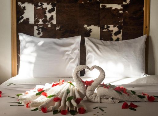 Pasha Hotel Zanzibar Nungwi: 3 star Hotel with a Minimum Price 173913TZS|  UPDATED FOR 2024 | zanzibarhotelstoday.net
