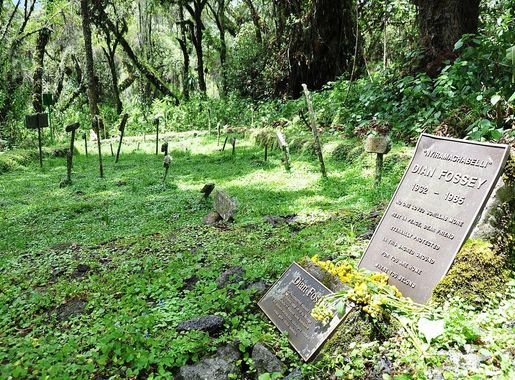 Datei:Tombe Dian Fossey.jpg – Wikipedia