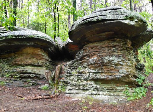 File:Mushroom shaped rock formations at Garden of the Gods Shawnee National  Forest Illinois.JPG - Wikimedia Commons