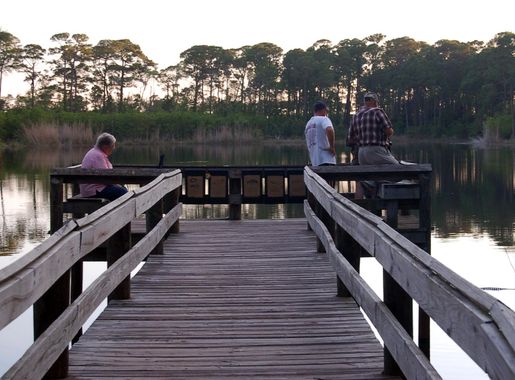 File:Alabama's Coastal Connection - Watching Wildlife at Audubon Bird  Sanctuary on Dauphin Island - NARA - 7716839.jpg - Wikimedia Commons