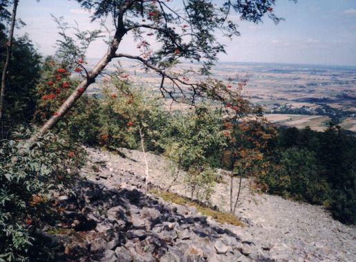 File:Goloborze, gory swietokrzyskie.jpg - Wikimedia Commons