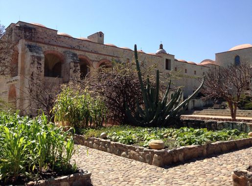 File:Jardín Etnobotánico de Oaxaca 02.JPG - Wikimedia Commons