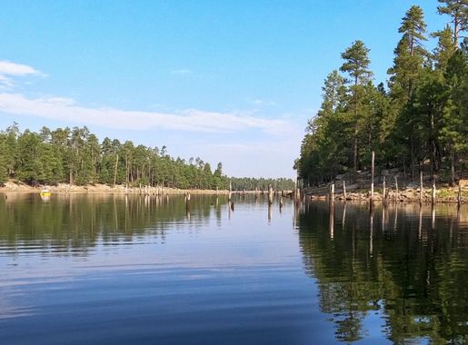 File:Willow Springs Lake on the Mogollon Rim is also popular for  fishing.jpg - Wikimedia Commons