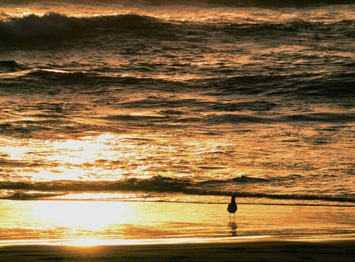 File:Puesta de sol. La Serena Chile.jpg - Wikimedia Commons
