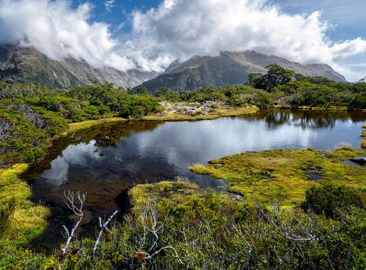 File:Key Summit Routeburn Track New Zealand (165426859).jpeg - Wikimedia  Commons