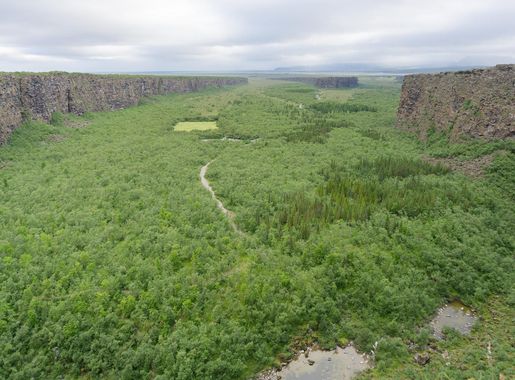 File:Canyon in Ásbyrgi, Hiking trail from Dettifoss to Ásbyrgi, Iceland  15.jpg - Wikimedia Commons