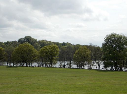 File:Across park towards south-west and lake from the Woodyard at Wollaton  Park, Nottingham, England.jpg - Wikimedia Commons