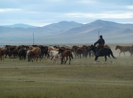 File:Khustain Nuruu National Park (7).JPG - Wikimedia Commons
