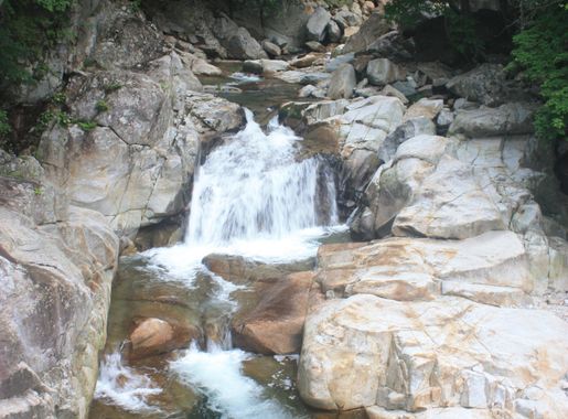 File:Baemsagol MS3812.JPG - Wikimedia Commons