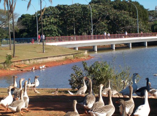 File:Brasília DF Brasília - Parque da Cidade Sarah Kubitschek -  panoramio.jpg - Wikimedia Commons
