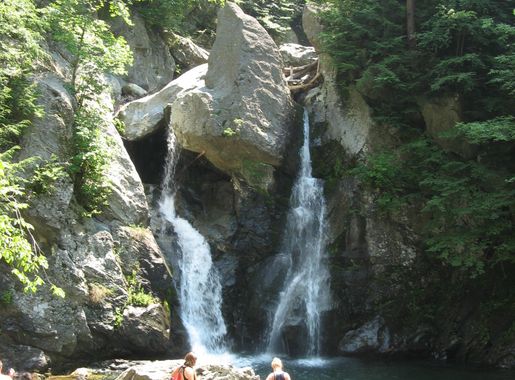 File:Bashbish 002.jpg - Wikimedia Commons