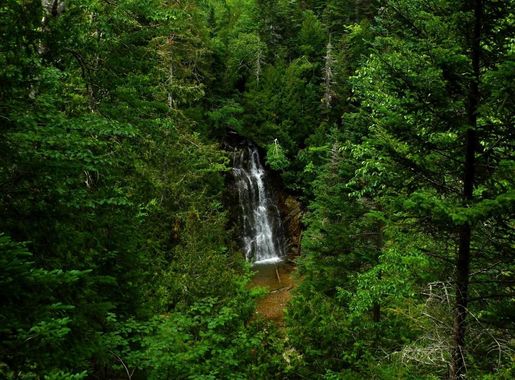 File:La Chute - Forillon National Park.jpg - Wikimedia Commons