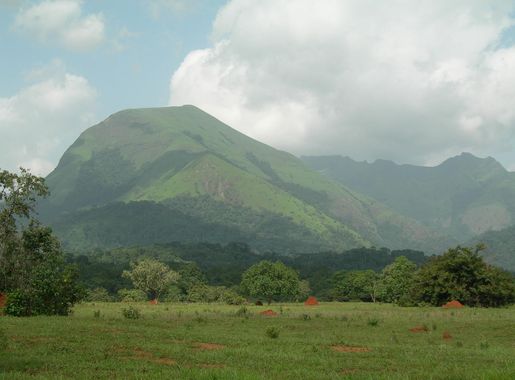 File:Mount Nimba Strict Nature Reserve-108450.jpg - Wikimedia Commons