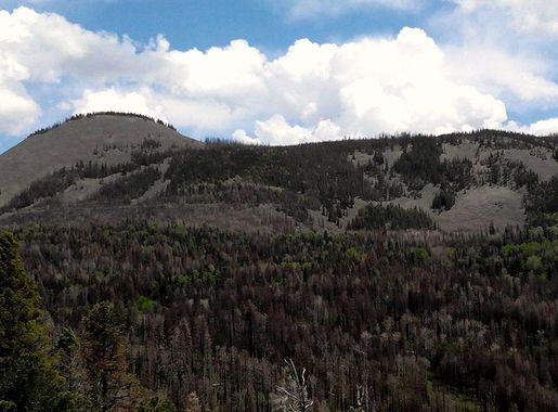 File:Redondo Peak, Valles Caldera National Preserve, 39201 New Mexico -  panoramio.jpg - Wikimedia Commons
