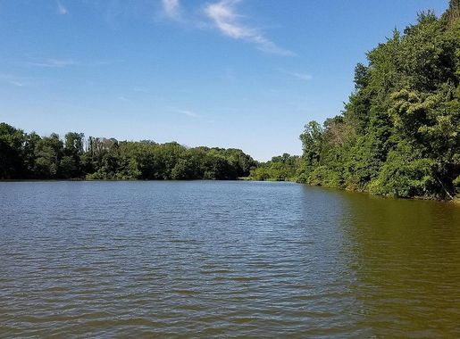 File:Greenfield Lake Wildlife Area (43246876652).jpg - Wikimedia Commons