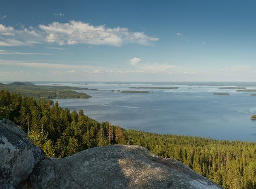 File:View to Pielinen from Paha-Koli in Lieksa, Finland, 2019 July.jpg -  Wikimedia Commons