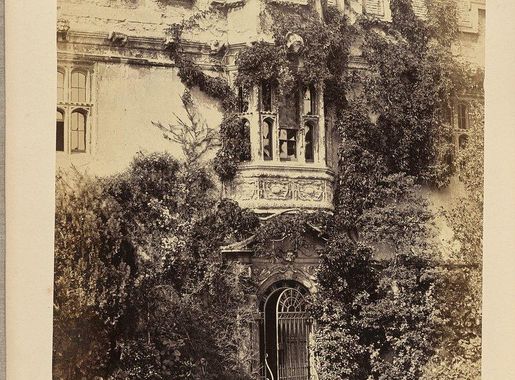 Castle Public Domain Images | Free Photos, PNG Stickers, Wallpapers &  Backgrounds - rawpixel