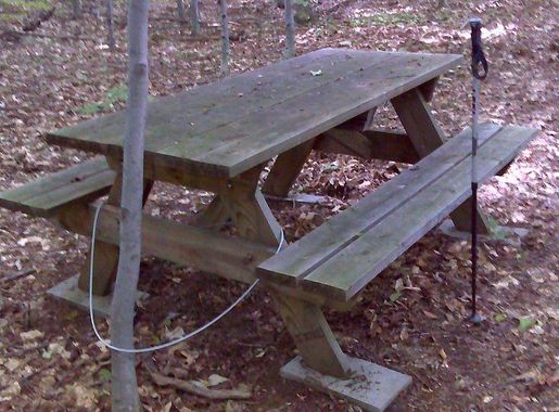 File:FLT CT6 9.3a mi - Bivouac area w picnic table only, seasonal stream  nearby - panoramio.jpg - Wikimedia Commons