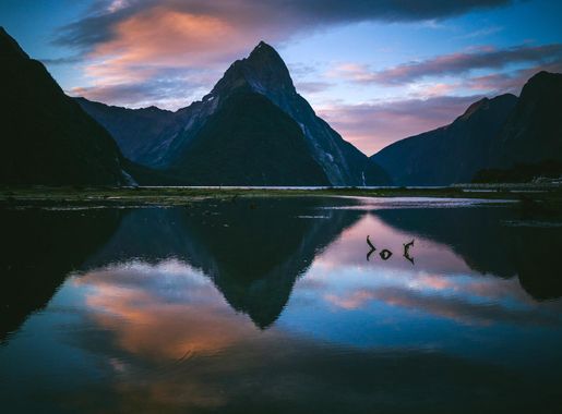 Waters and landscape of Milford Sound, New Zealand image - Free stock photo  - Public Domain photo - CC0 Images