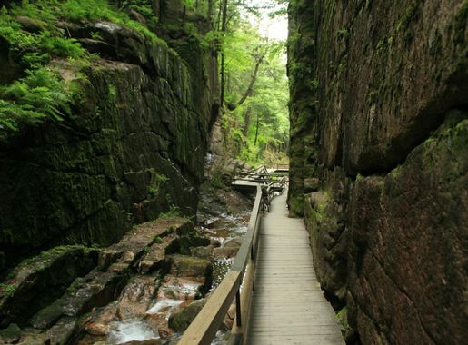 File:Flume Gorge (3371385271).jpg - Wikimedia Commons