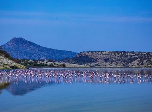 File:Lake Magadi Adventures Travel Lifestyle Photoshoot Photography-24.jpg  - Wikimedia Commons